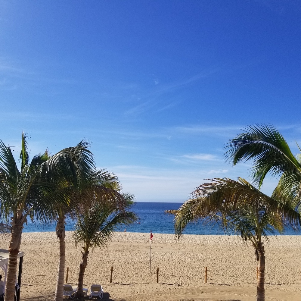 Meet your Posher, Jess